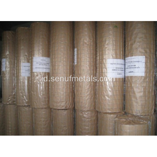 pagar wire mesh dilas